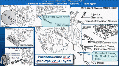 VVT-i OCV Filter Location 1