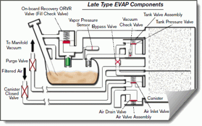 Late Type EVAP